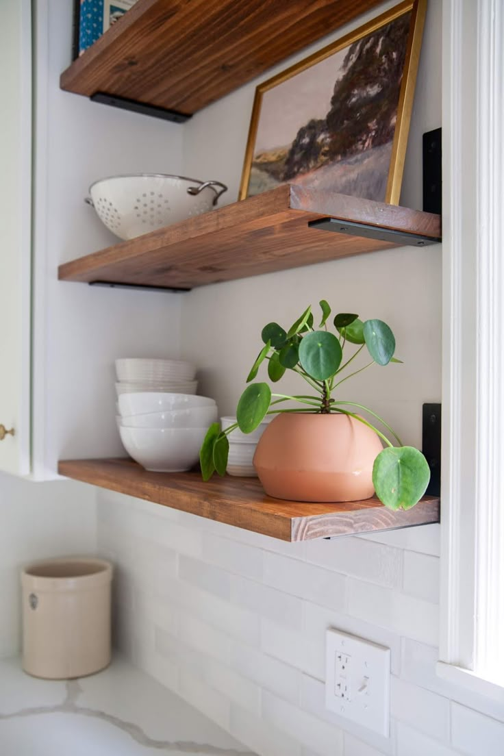 a potted plant sitting on top of a wooden shelf next to bowls and plates