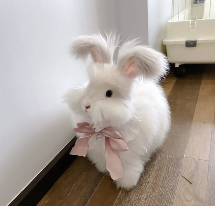 a white bunny rabbit sitting on top of a hard wood floor next to a wall