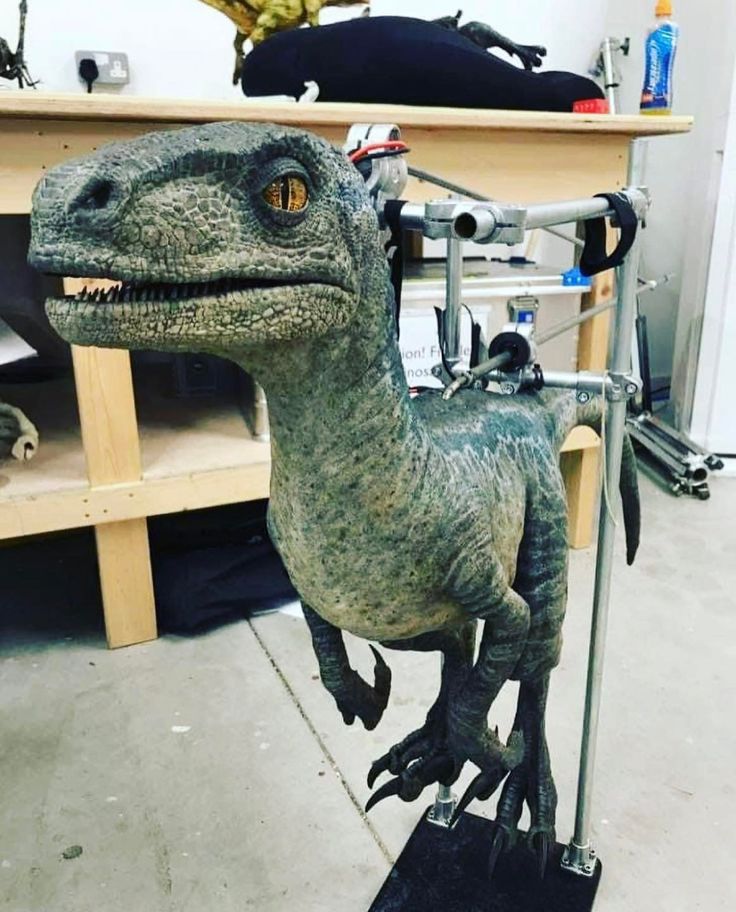 a toy dinosaur is on display in a room