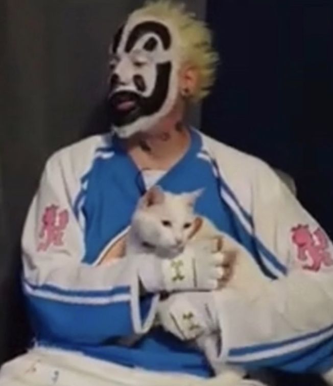 a man in a clown mask holding a white cat