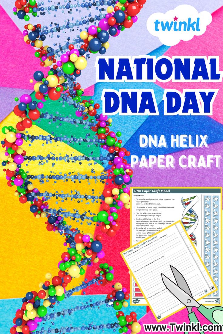 DNA Helix Paper Craft Dna Structure, Dna Helix, Stem Elementary, Steam Education, Craft Kids, Stem Steam, Elementary Activities, Skills Activities, Life Cycles