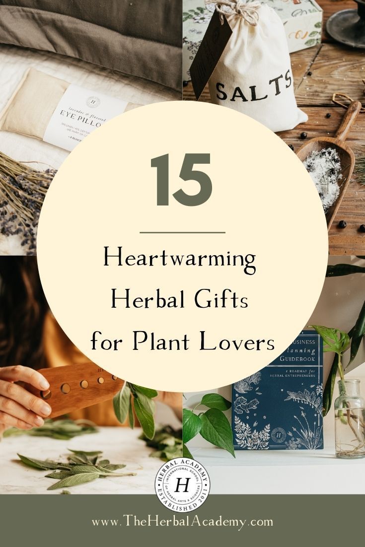 the top 15 heartwarming herb gifts for plant lovers