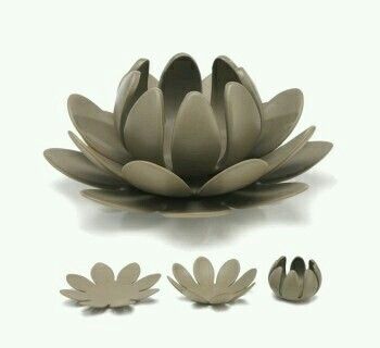 an image of a flower that is in the shape of a lotus or broccoli