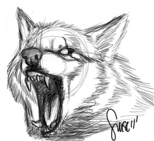 a drawing of a wolf's face with its mouth open and the word save on it