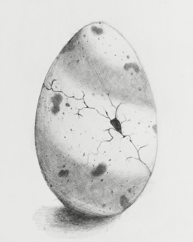 an egg is shown with black spots on the side and white eggshells in the middle