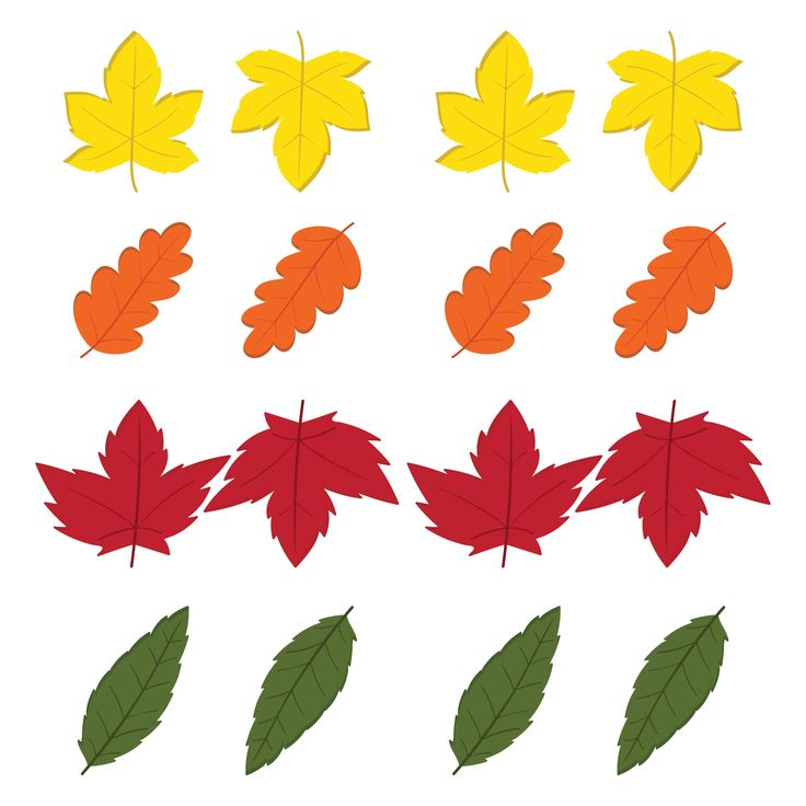 an assortment of autumn leaves on a white background