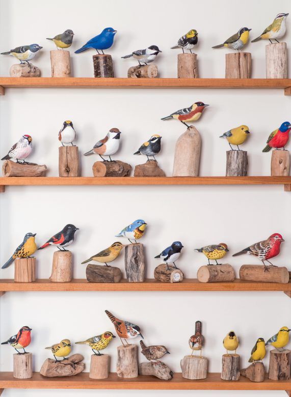 several birds are sitting on wooden posts in front of a white wall and some shelves