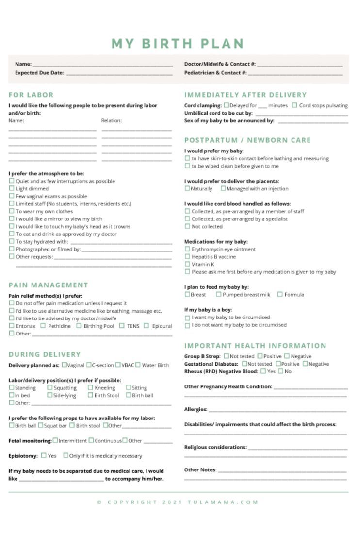 the birth plan is shown in this green and white printable document, which includes information for