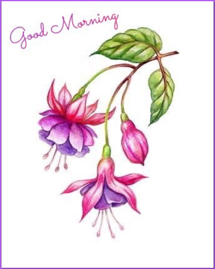 a watercolor painting of pink and purple flowers with green leaves on a white background