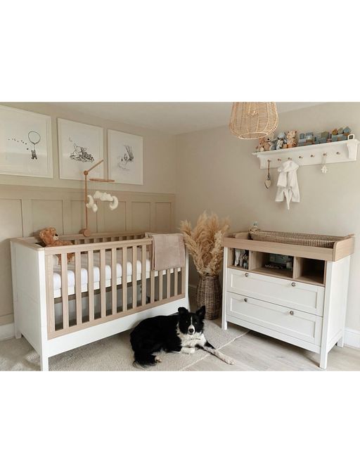 a black and white dog laying on the floor next to a baby's crib