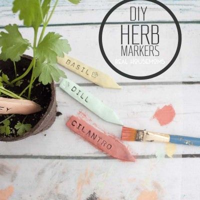 some plants and markers are sitting in a pot on a table with the words diy herb markers next to them