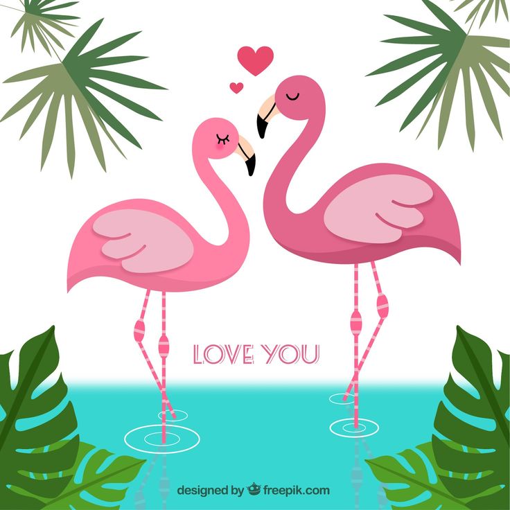 two pink flamingos standing next to each other in front of palm leaves and the words love you