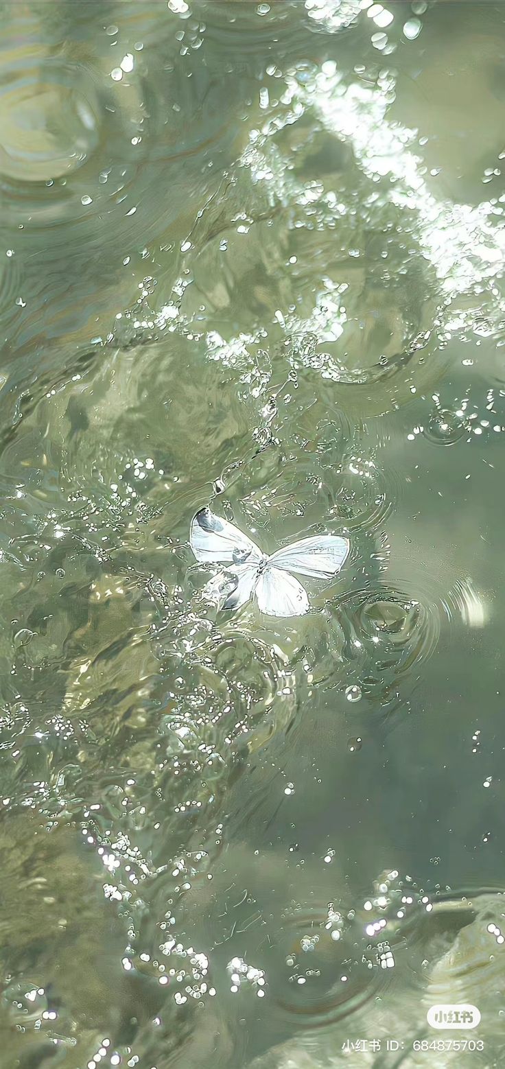 a small white butterfly floating on top of water