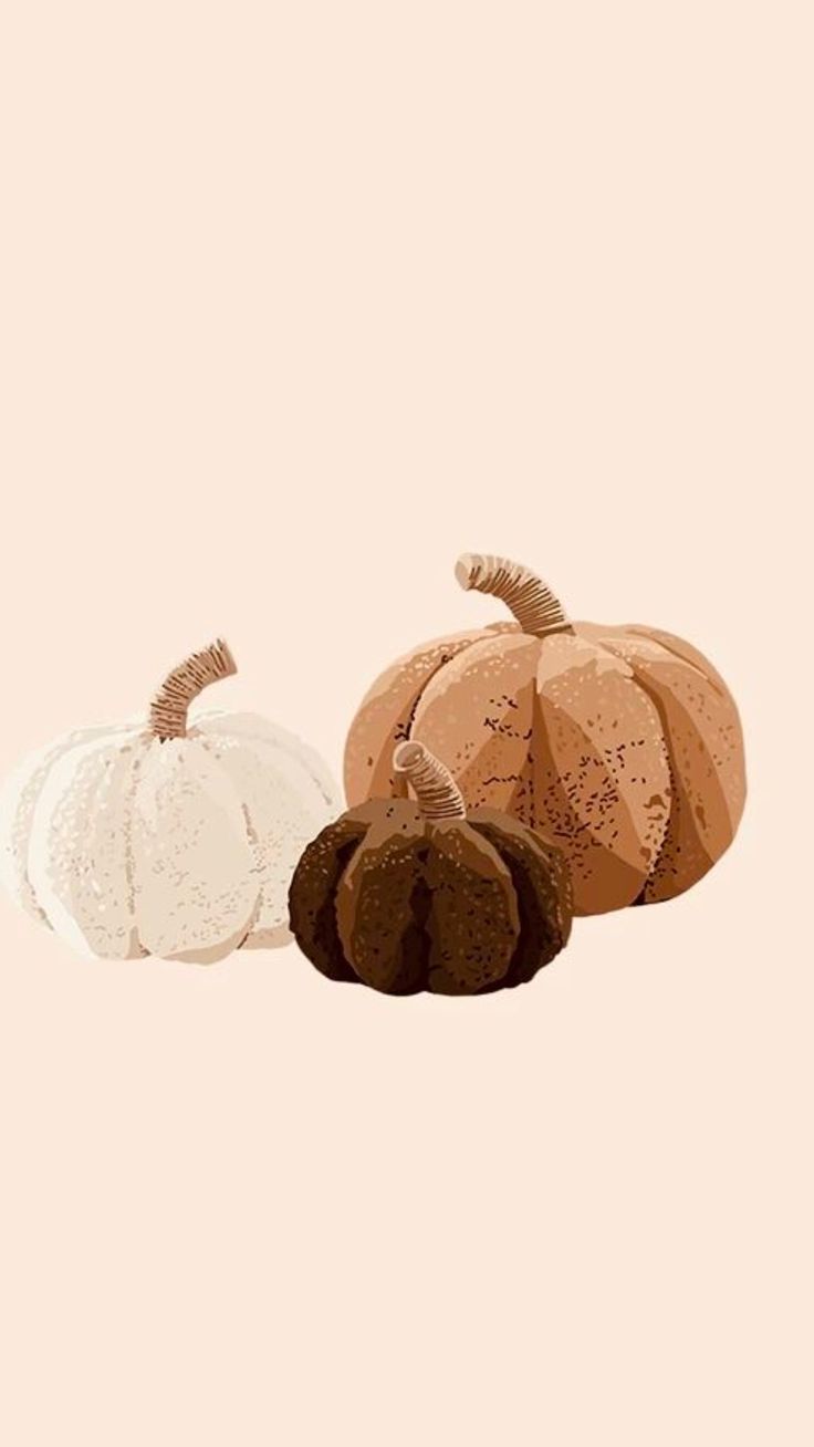 three different types of pumpkins on a pink background