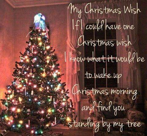 a christmas tree with lights on it and a poem written in the bottom right corner