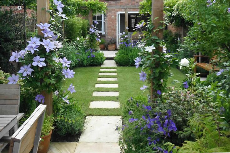 a garden with purple flowers and green grass