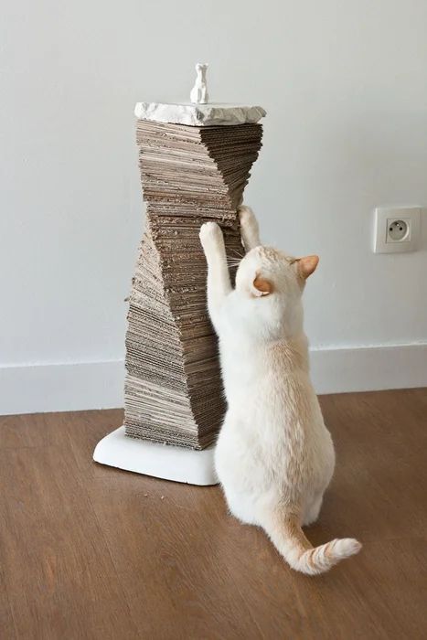 a white cat reaching up to reach a stack of books on the floor with it's front paws