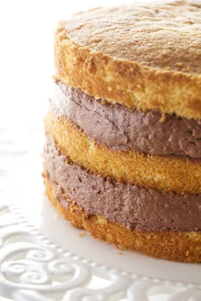 a layered chocolate cake on a white plate