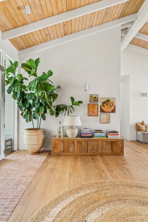 a living room filled with furniture and a potted plant on top of a wooden table