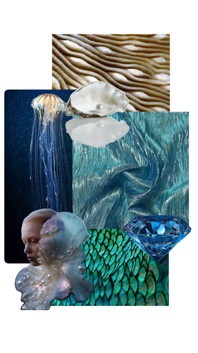 the collage shows different types of sea creatures and marine life, including an octopus, jellyfish, seashells, and more