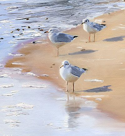 three seagulls are standing on the beach by the water's edge, looking for food