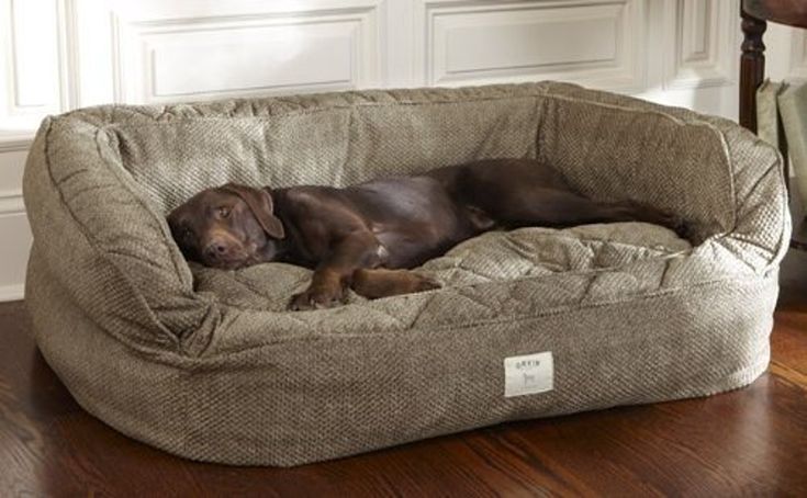 a dog is laying in his bed on the floor