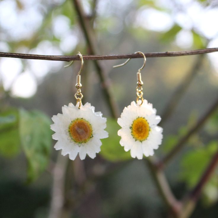 two white and yellow flowers are hanging from a tree branch with gold earwires