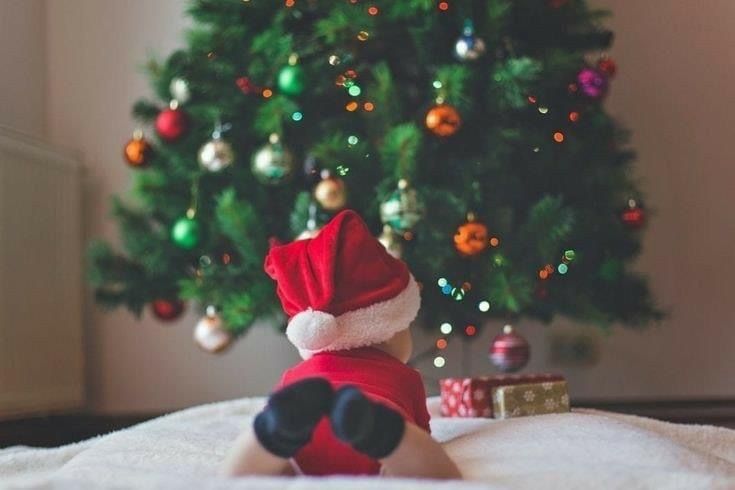 a small dog wearing a santa hat on top of a bed next to a christmas tree