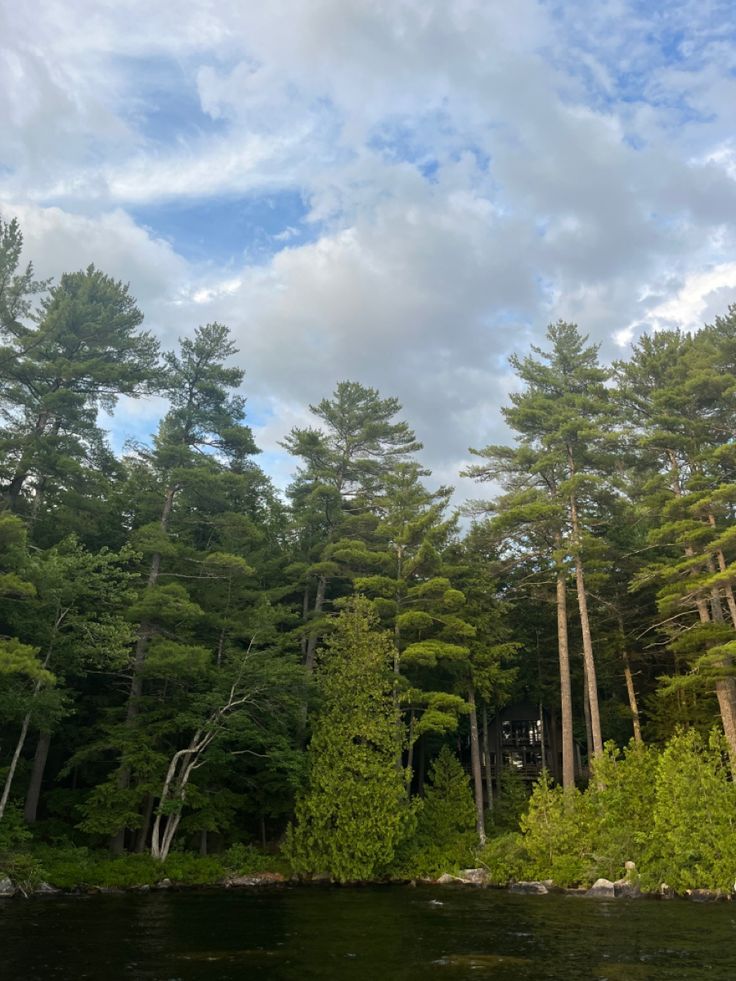 the water is clear and there are many trees on the shore in the woods behind it