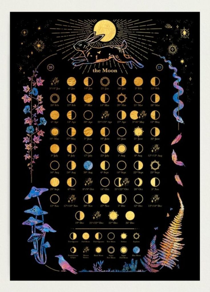 a poster with different types of plants and moon phases on it's black background