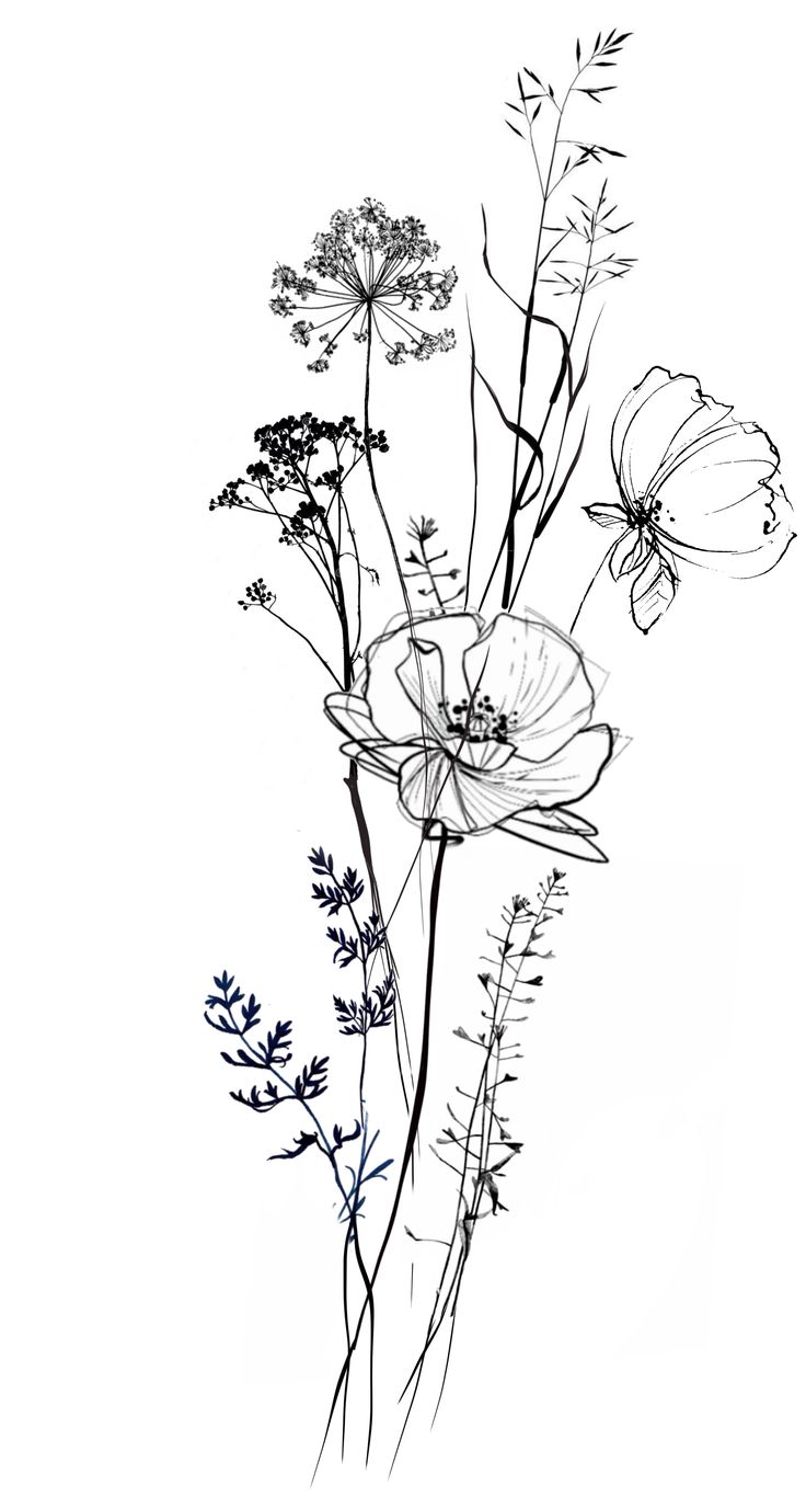 black and white drawing of flowers on a white background