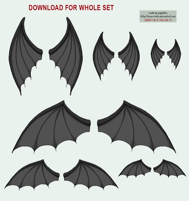 an image of a set of bat wings for the game, which includes different shapes and sizes