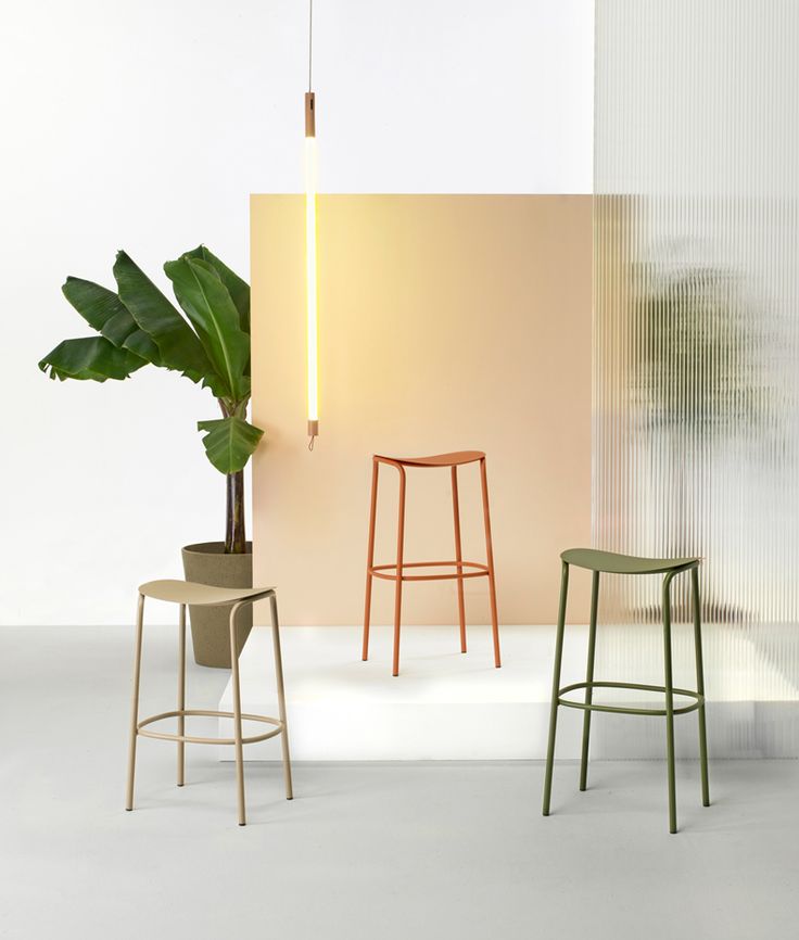 three stools and a plant in a room