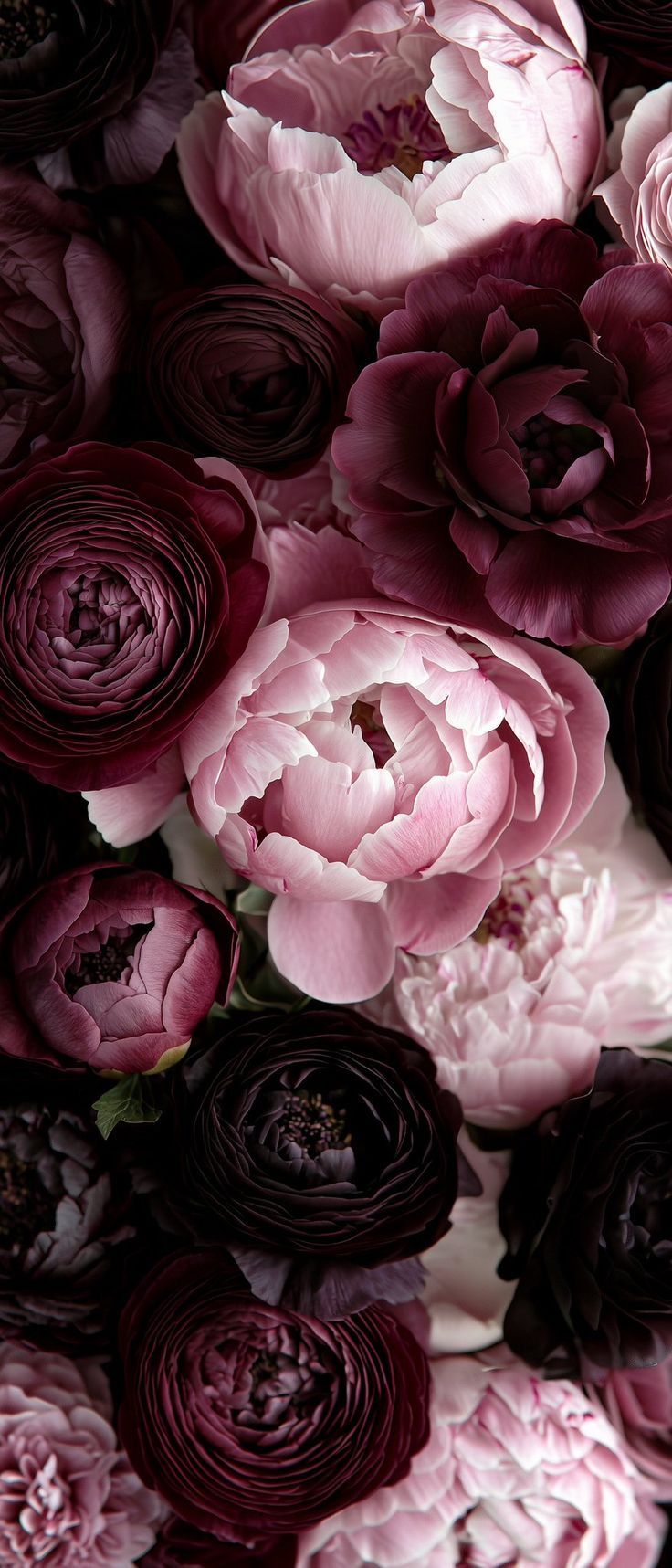 a bunch of pink and purple flowers are arranged together