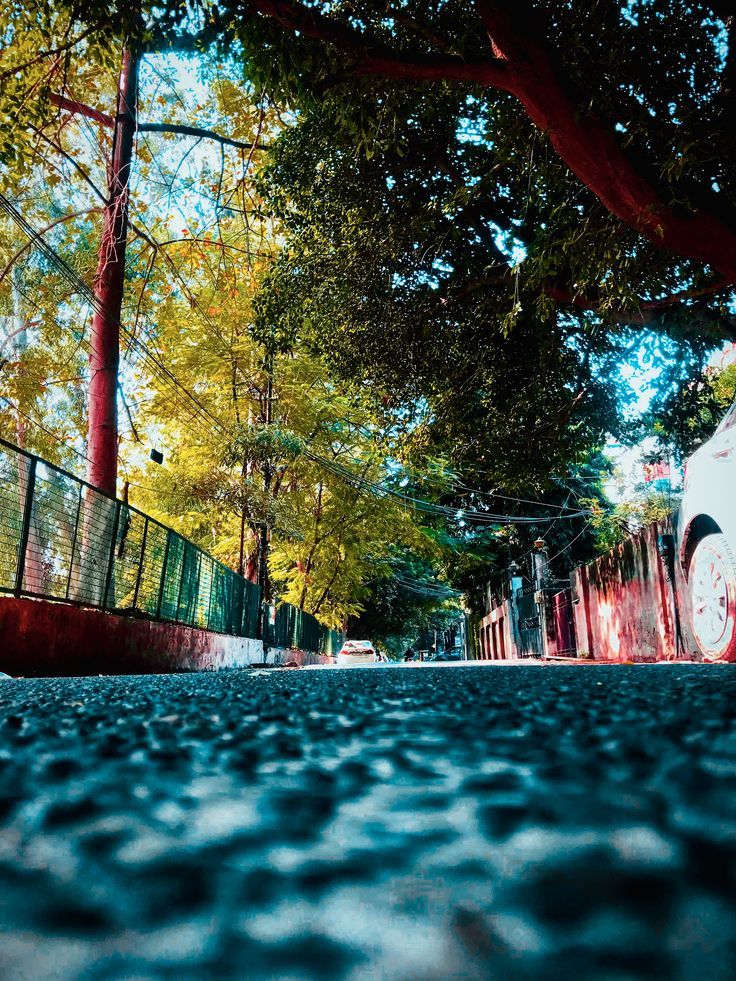 a white bus driving down a street next to trees