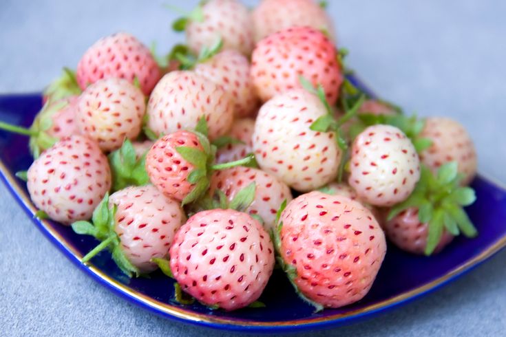 a blue plate topped with lots of ripe strawberries