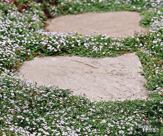 white flowers are growing in the grass around a cement block with a heart on it