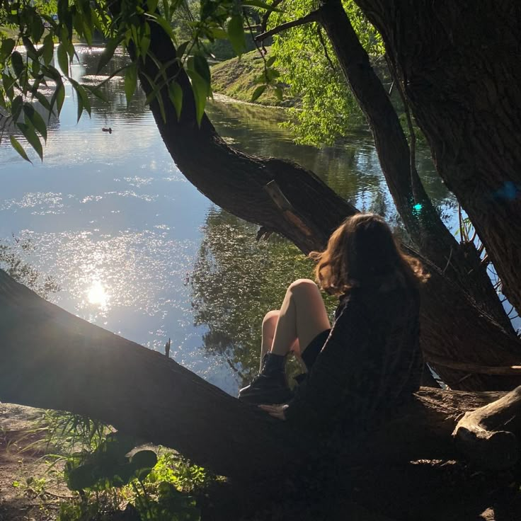 a woman sitting on a tree branch next to a river with the sun shining down