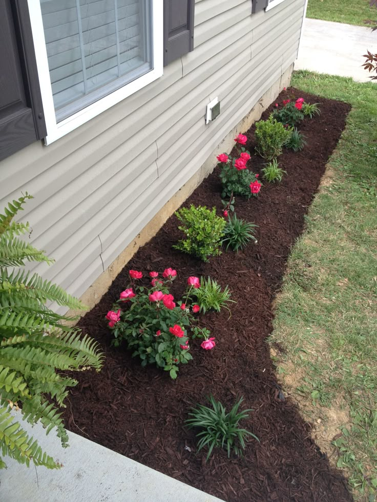 some pink flowers and green plants in front of a house with brown mulch on the ground