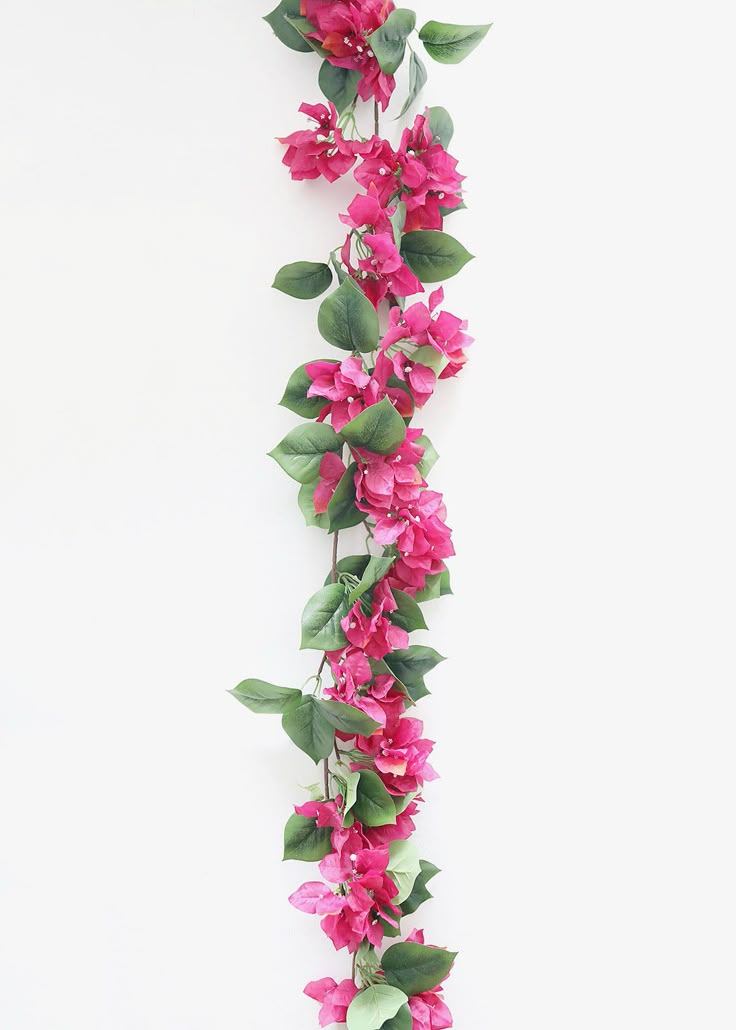 pink flowers and green leaves on a white background