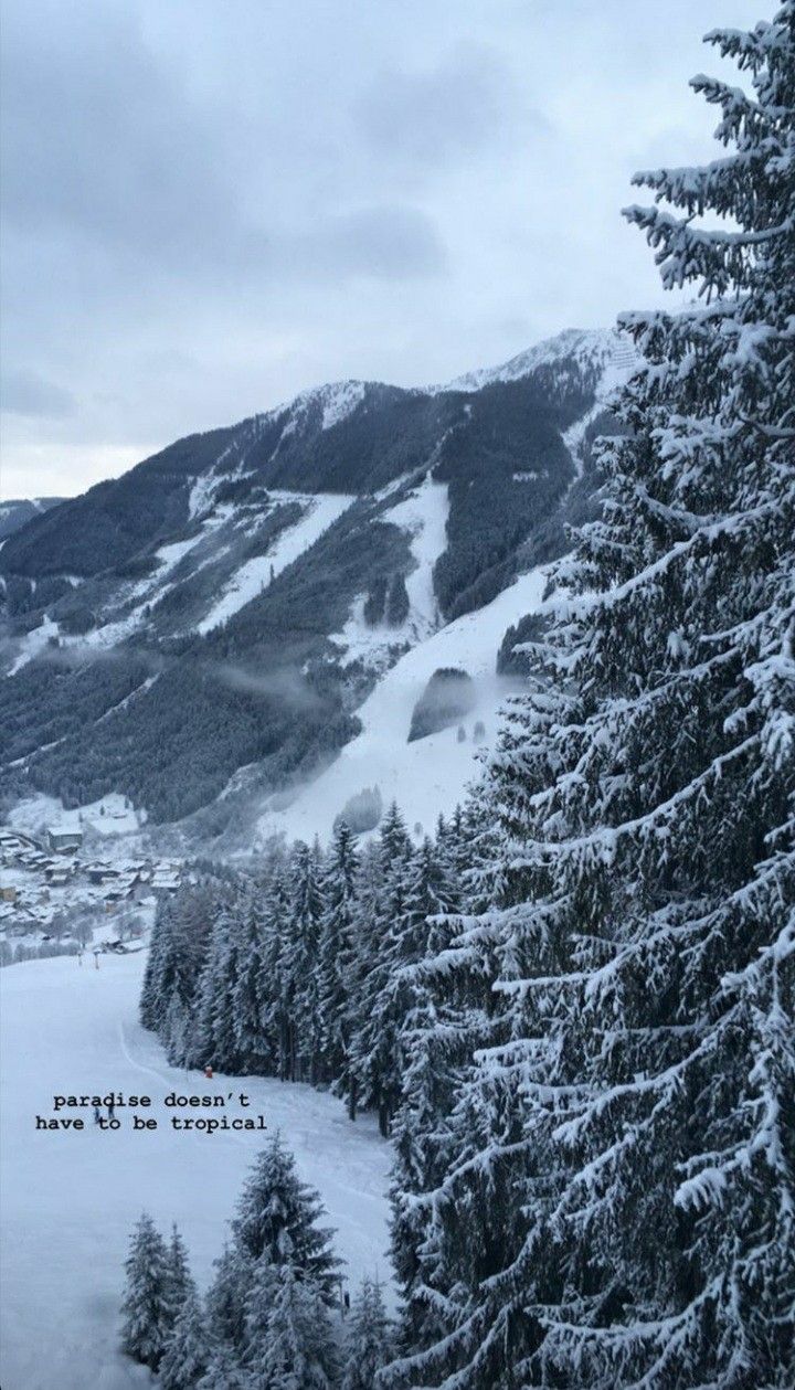 a snow covered mountain with trees in the foreground