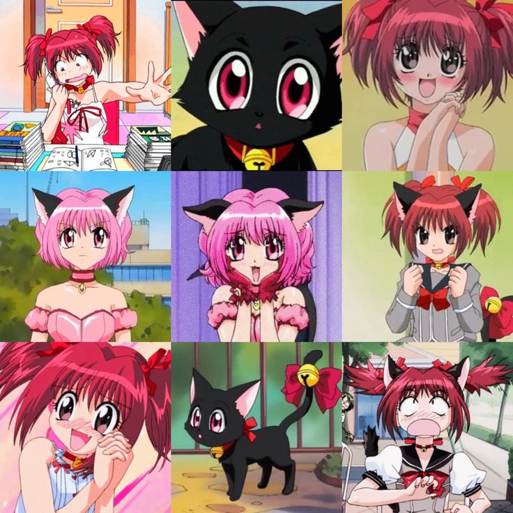 #ichigo #tokyomewmew #mewmewpower #anime #mewichigo Ichigo Mew Mew, Tokyo Mew Mew Gif, Ichigo Momomiya, Heisei Retro, Tokyo Mew Mew Ichigo, Mew Mew, Tokyo Mew Mew, Sailor Moon Art, Hello Kitty Items