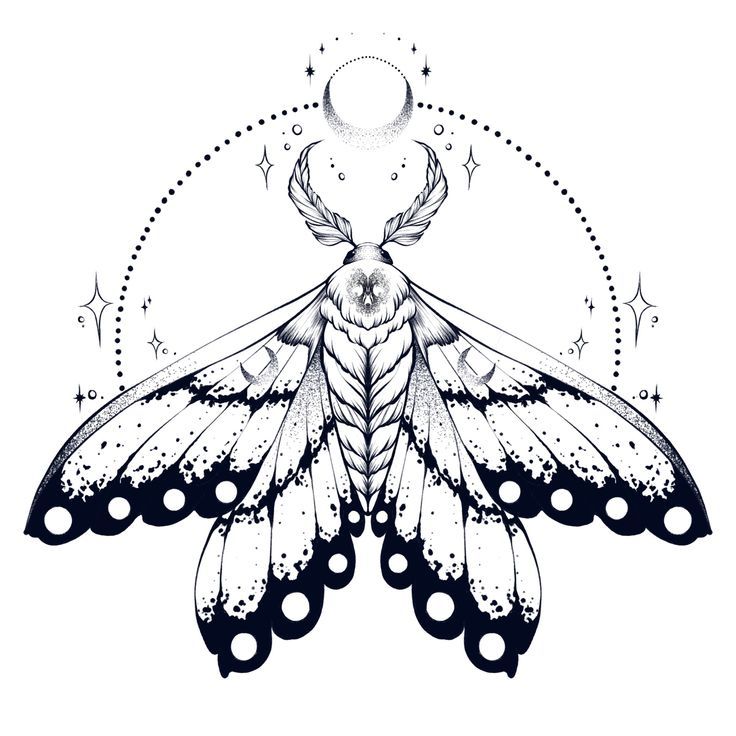 a black and white drawing of a moth with stars on it's wings, surrounded by circles