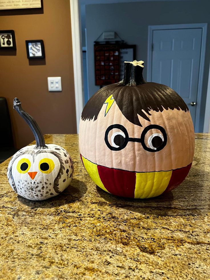 two pumpkins decorated to look like harry potter and an owl sitting on the counter