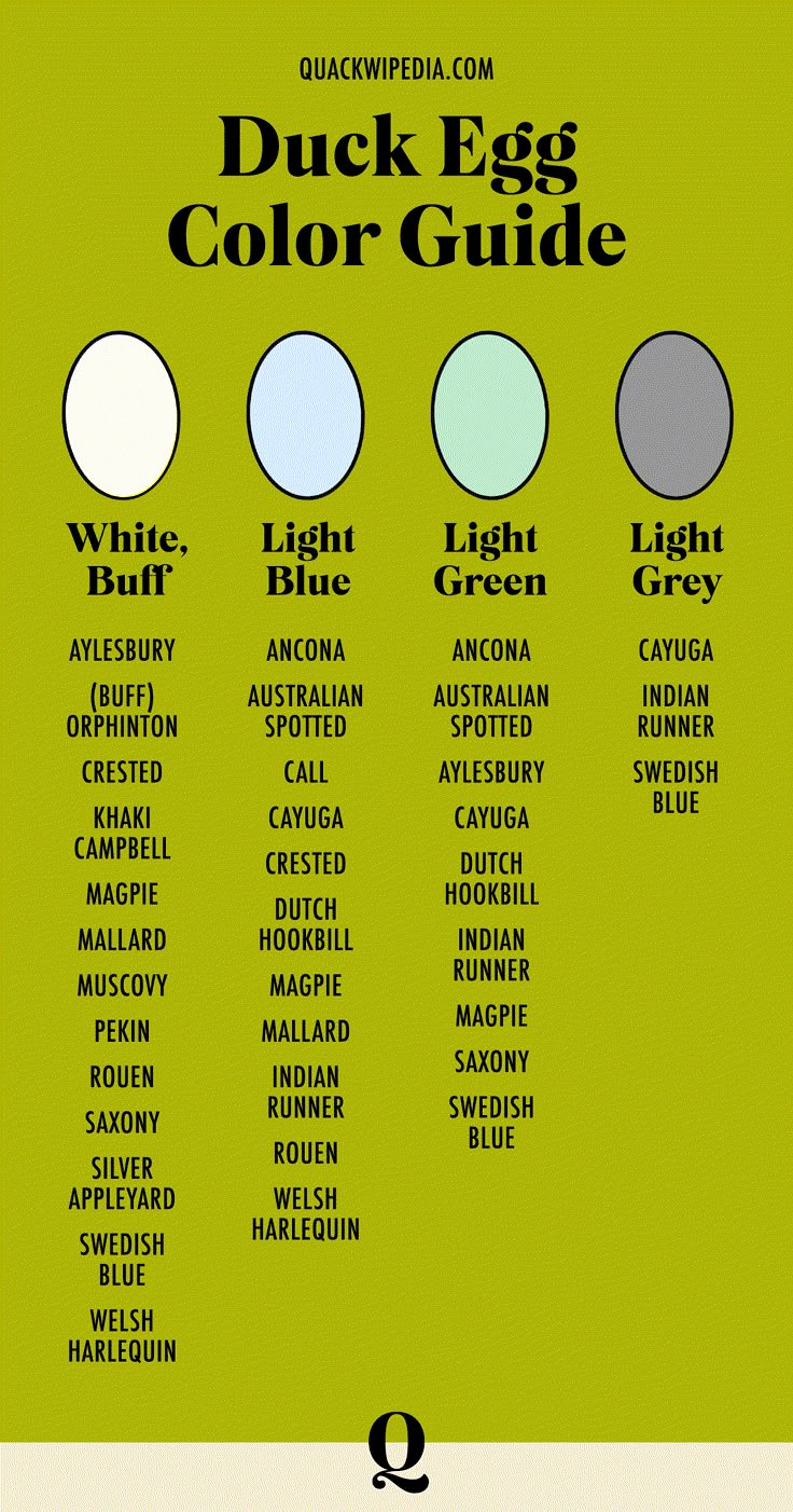 the duck egg color guide is shown in black and white, with different colors on it