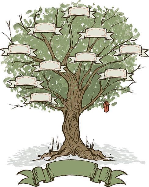 a family tree with blank labels hanging from it's branches and an empty ribbon