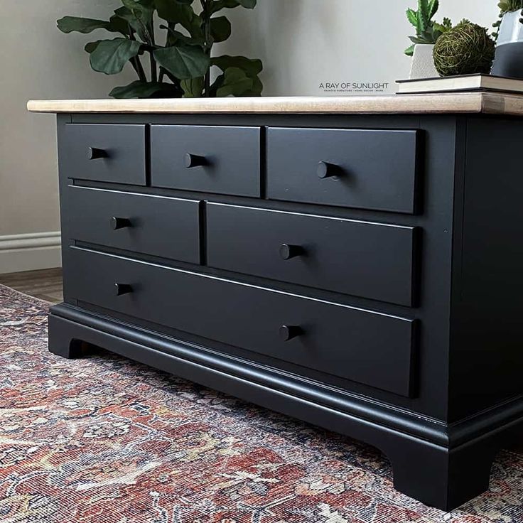 a black dresser sitting on top of a rug next to a potted green plant