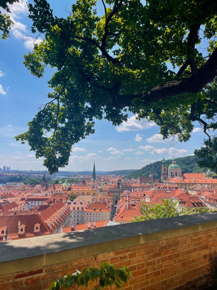 the city is surrounded by trees and brick walls, with blue sky in the background