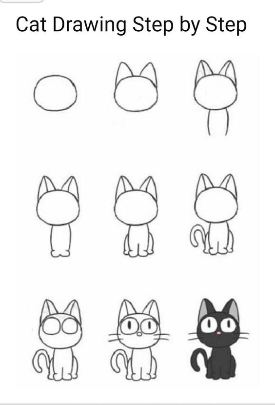 cat drawing step by step instructions for children to learn how to draw and paint cats