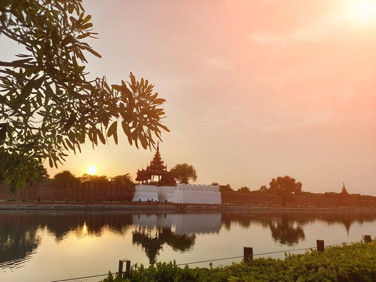 the sun is setting over a body of water with trees and bushes in the foreground